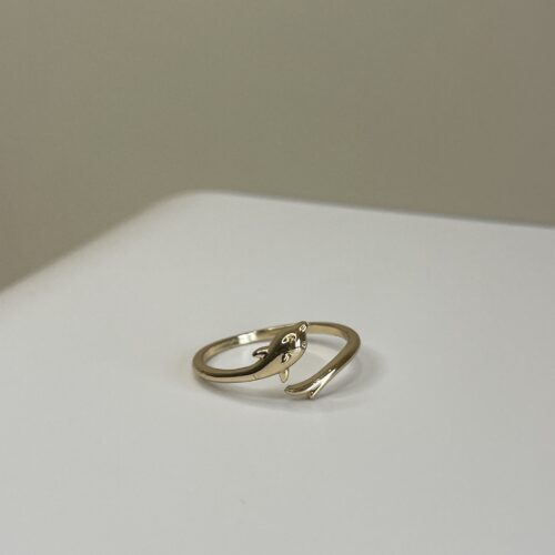 Sculpted fish Ring